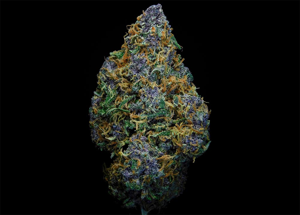 Image of Premium Bud